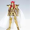 MST Saint Seiya Myth Cloth EXM/EX Metal Aquarius Camus With Hyoga Cygnus Head 24K Hades Gold Knights of the Zodiac Action Figure