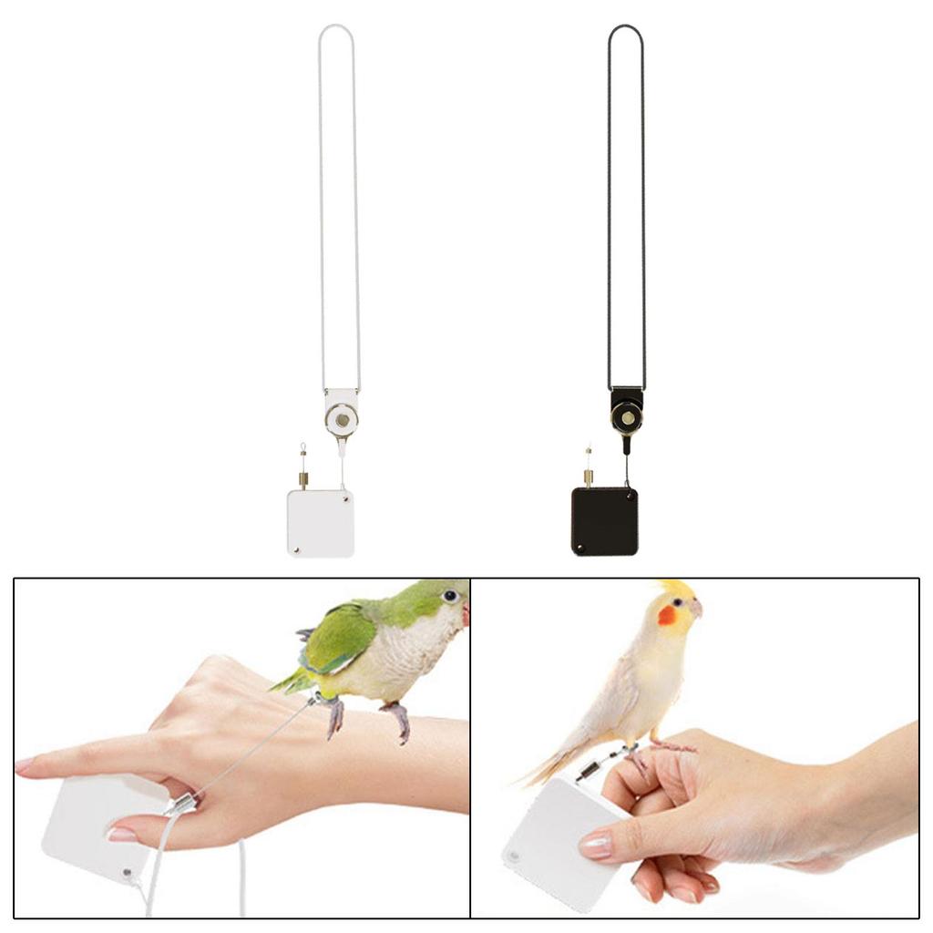 Guinzaglio Automatico Retrattile per Uccelli Accessori Facile da Controllare 82,68 pollici Pappagalli