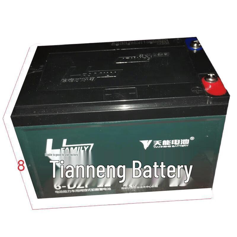 Tianneng Electric Vehicle Power System