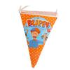 Festa di Compleanno Insegnante di Inglese Articoli per la Festa Stoviglie Monouso Piatti di Carta Bicchieri di Carta Tovaglioli di Carta Decorazione Festa di Compleanno Ragazza