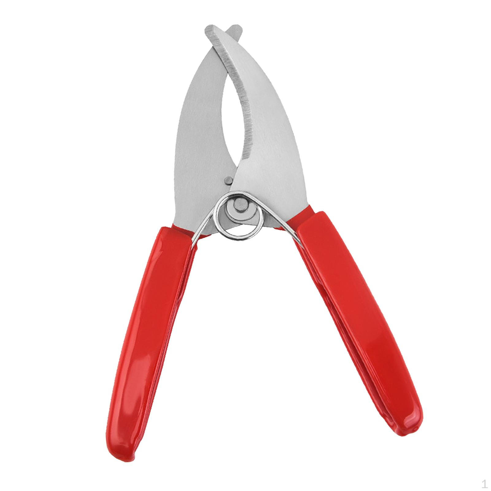 

-Колокольчик, ножницы, садовые, для дерева, ножницы для резки и очистки фруктовых деревьев Single Edge