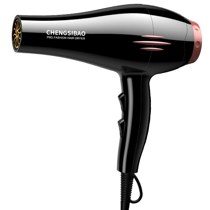 High-Power Hair Salon Dryer for Homes