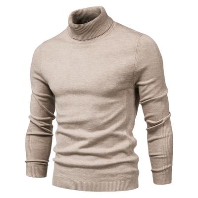 Winter Men Turtleneck Sweater Casual Solid Color Warm Pullover High Quality Slim High Neck Long Sleeve Sweater Men