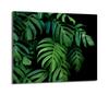 Szklana Płyta Ochronna Na Kuchenkę 60x52 Monstera