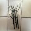 Garden Plant Support Stake for Plant Climbing Plant Support Structure Plant Holder Stick for Support Tall Potted Plant