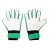 Northern Ireland Boys Crest Goalkeeper Gloves