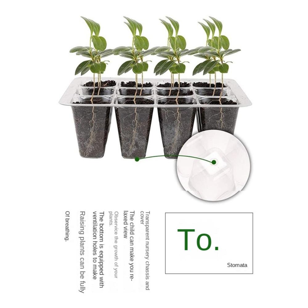 6/12Grids Seed Starter Tray Mini Greenhouse Cultivation Planting Box New Plant Starter Kit  Garden
