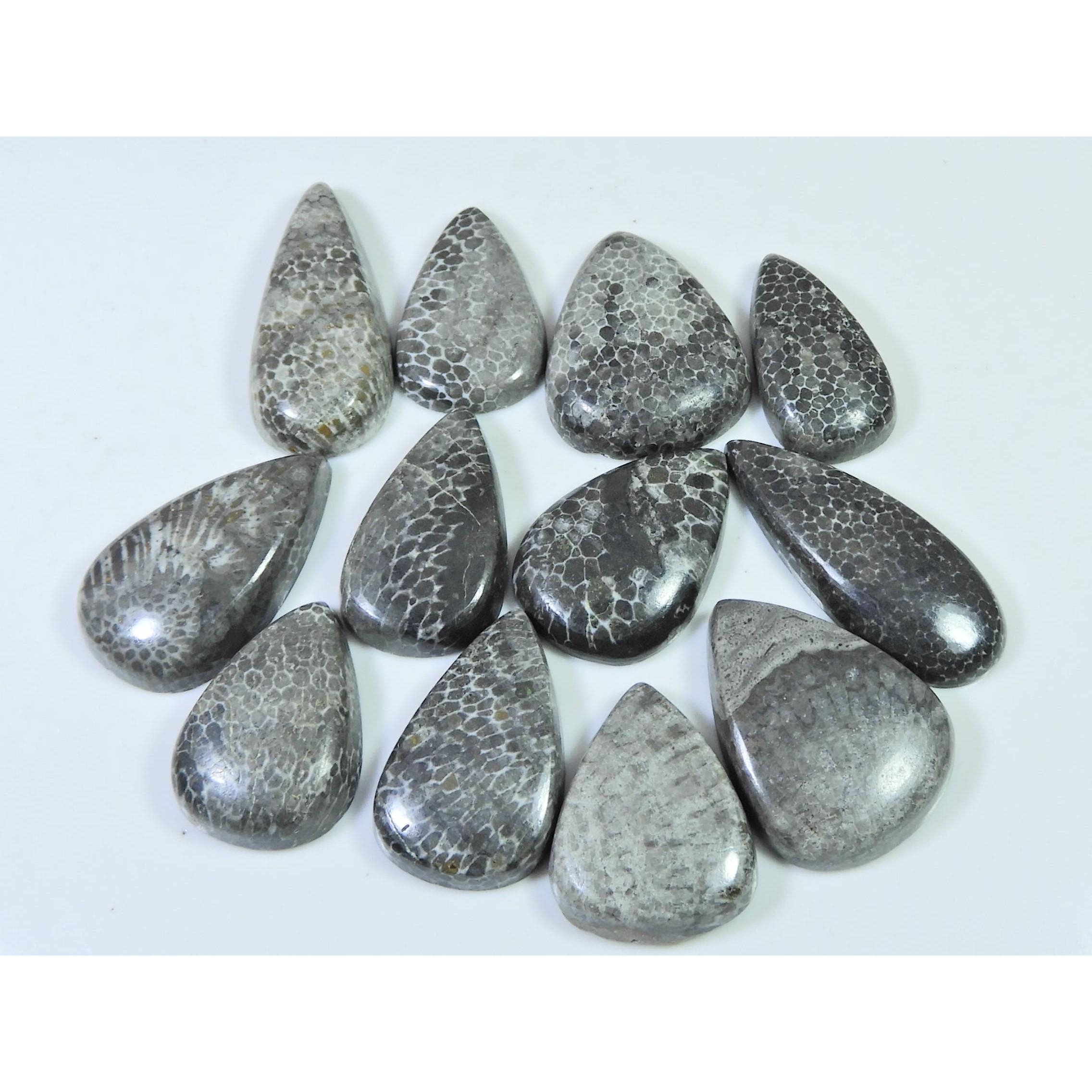 

255Cts. Natural Black Fossil Coral Pear Cabochon Loose Gemstone 12 Pcs Lot C-640