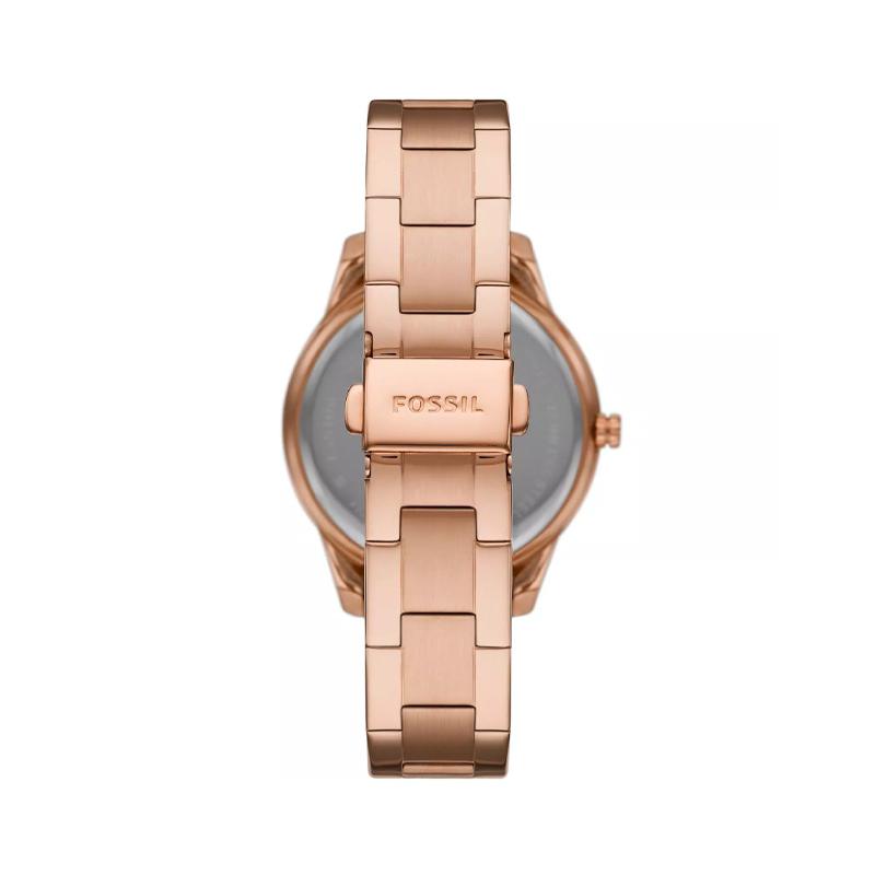 FOSSIL Stella Collection Wrist Watch Quartz Movement Stainless Steel Strap Tan Watch Dial Women's Watch 50m Waterproof ES5109