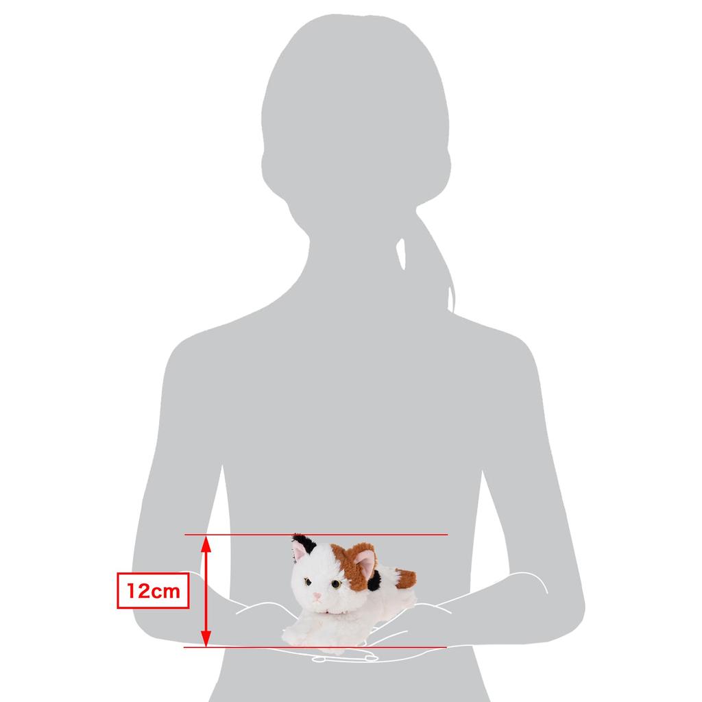 Sun Lemon Mike de Schootkat Pluche Dier SS P-8052 Schattige Kat 11 x 29 x 12cm