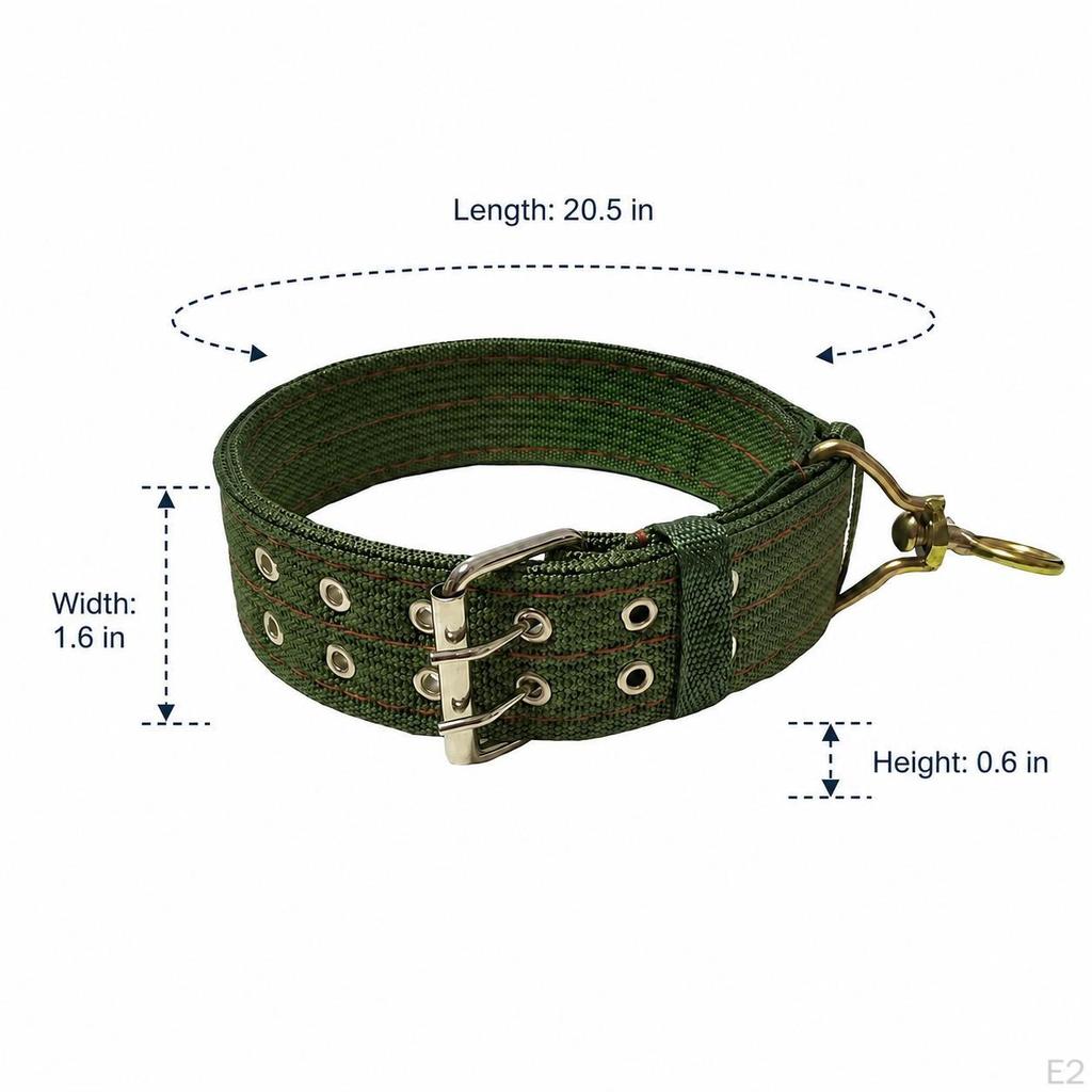 Nylon Webbing Dog Collar, Adjustable, Durable, for Small, Medium, Large Dogs, Walking, Training