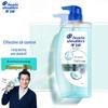 Head & Shoulders Oil Control & Volumizing Anti-Dandruff Shampoo