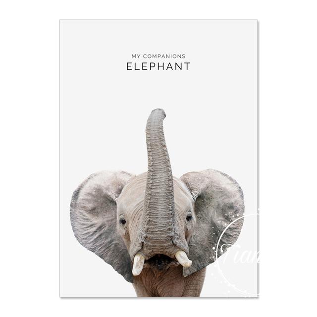 Animal Decoration Sheets Picture Wall Art Poster Children's Canvases Room Paintings For Nursery Decorative Prints Wall Posters No Frame