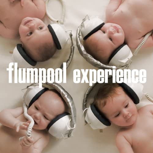 

CD FLUMPOOL - Experience Ltd Edition AZZS12 Japan ObiRock Used