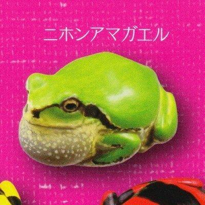 Capsule Q Museum Geldbörse Frosch Geldbörse Frosch Japanischer Baum [1. Frosch] (Einzelexemplar)