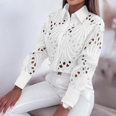Damenmode, lässig, Frühling, Herbst, einfarbig, langärmelig, Polo-Ausschnitt, Blusen und Hemden