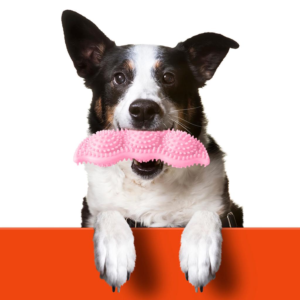 Puppies Toys for Teething -Soothes Itchy and Painful Teeth -360°Cleaning Mouth