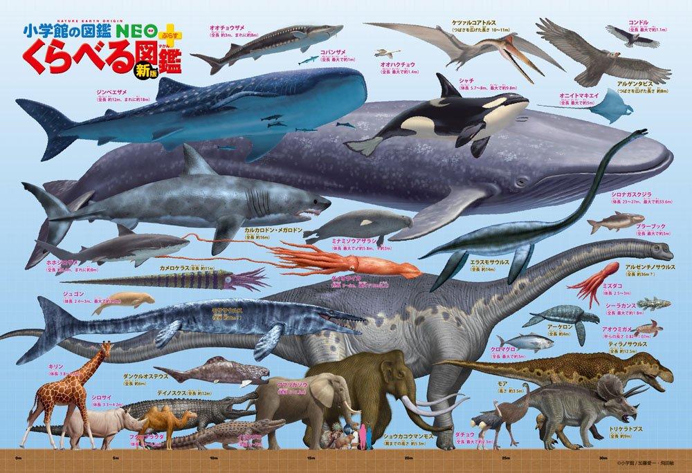 

150-Piece Jigsaw Puzzle: Comparison Picture Book [New Edition] Giant Creature Size Comparison, Large Pieces (26x38cm)