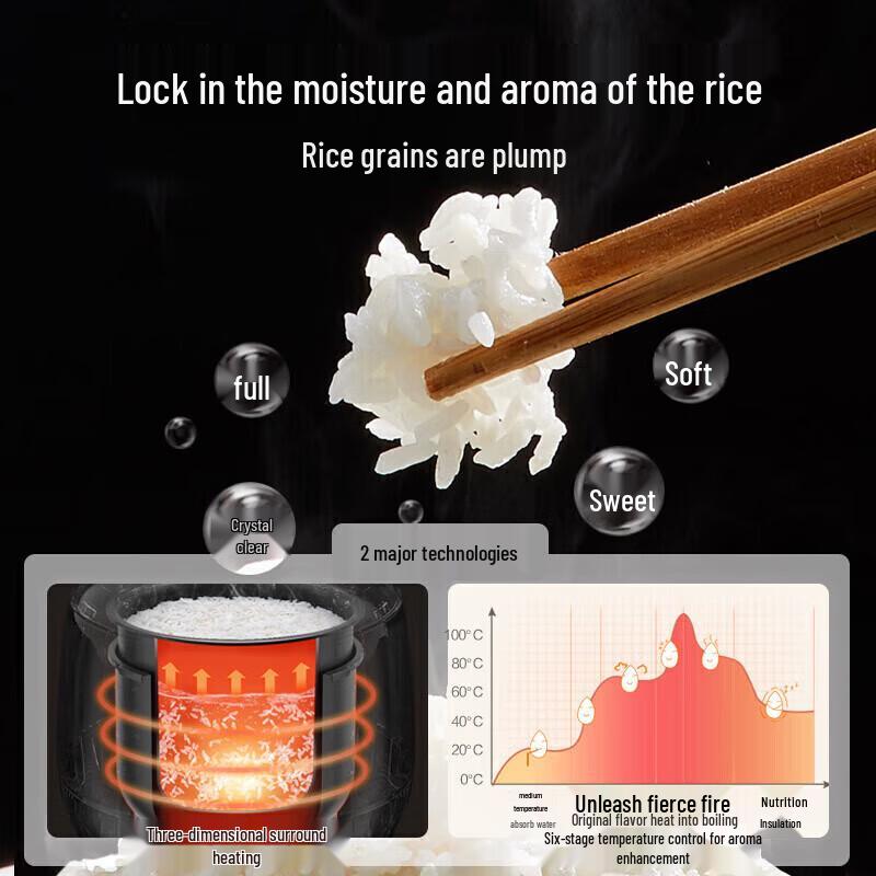 Bear Smart Mini Rice Cooker 1.2L CN plug (adapter included)