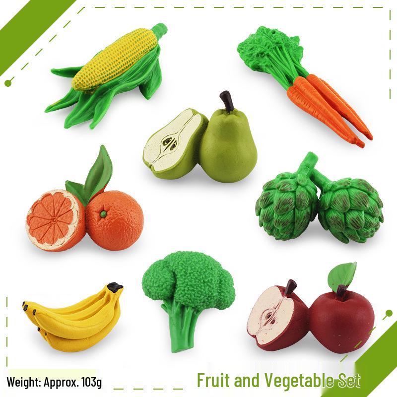 Animal Growth Cycle Models: Chicken, Duck, Goose, Butterfly, Turtle, Frog Montessori Teaching Figurines