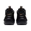 Nike Air Foamposite Pro 'Black Metallic Gold' 624041-009