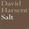 Salt by David Harsent Paperback Book 9780571337866