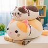 Plush Toys, Soft Desserts, Cat Teacher Dolls, Cute Kitten Dolls, Girls Like Gifts