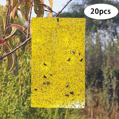10/20/30PC Sided Yellow Sticky Gnat Traps for Indoor/Outdoor Flying Plant Insect