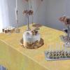 Iridescent Disposable Tablecloth Rainbow Laser Birthday Decoration Tablecloth For Bridal Wedding Party Supplies