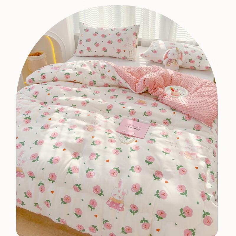 Mling Washable Soy Fiber Quilt - Dinosaur Planet