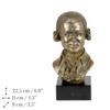 Wolfgang Amadeus Mozart - busto de mármol, estatuilla de una persona famosa, decoración para oficina, escuela y hotel de la marca Art-Dog