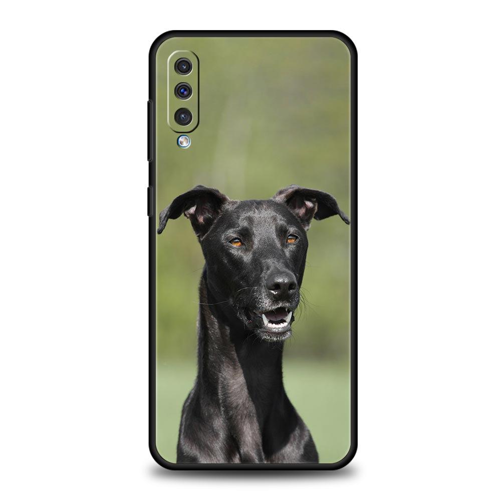 Galgo Greyhound Dog Phone Case For Samsung Galaxy A56 A36 A26 A34 A17 A16 A06 A14 A12 A54 A72 A70 A22 A20e A52 A50 A40 A32 Cover