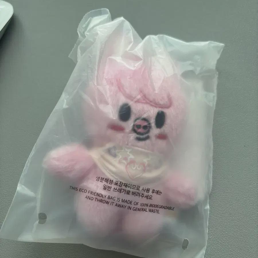 

Straykids Skzoo Conqui Ju Pork