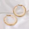 European And American Exaggerated Gradient Color Retro Style Temperament C-Shaped Resin Earrings Stainless Steel Hoop Earrings