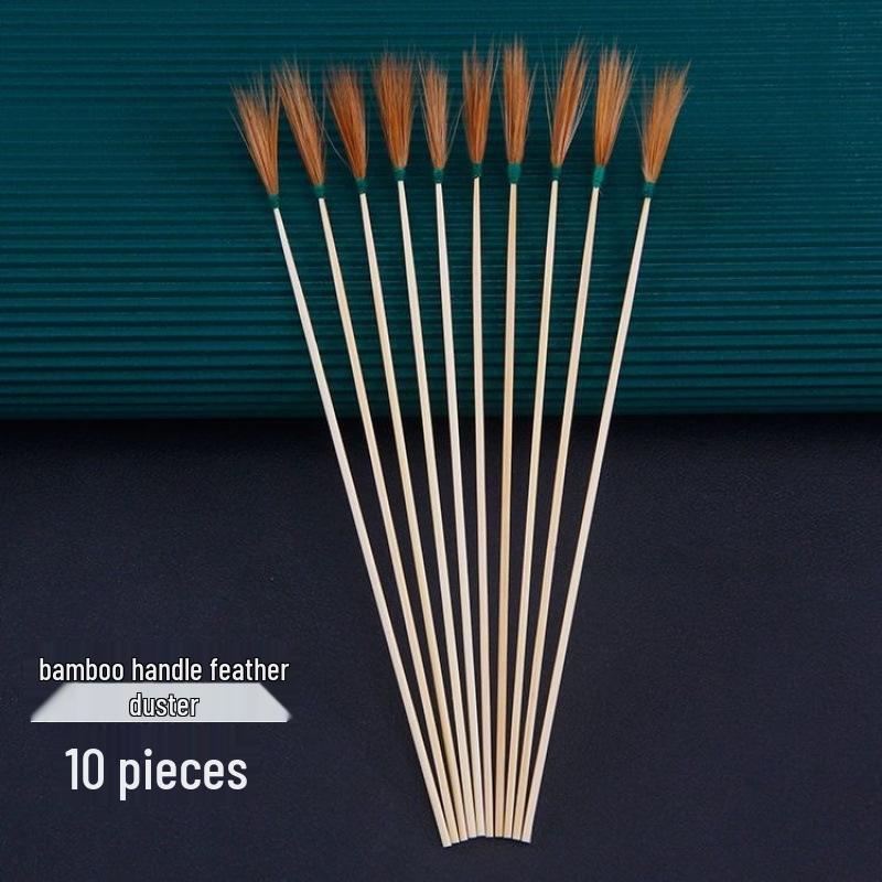 Professional Ear Cleaning Set: Silver Needle, Goose Feather, Chicken Feather, Horse Tail Ear Picks
