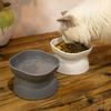 1pc-Pet Inclined Feed Bowl, Cat and Dog Dining Bowl, Pet Neck Protection