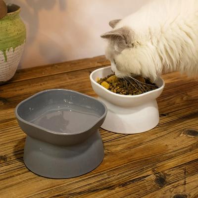 Kedi – Kedi Besleme ve Sulama Malzemeleri