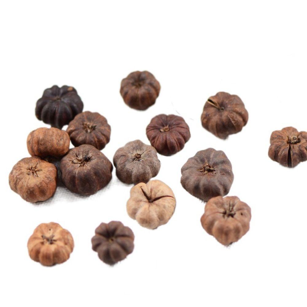 15pcs Dried Vegetables Dried Mini Pumpkins Dried Fruit Halloween Mini Pumpkins  Party Decoration