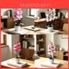 Butterfly Orchid Artificial Plant With Plastic And Soft Gel For Home Decor And Event Centerpiece