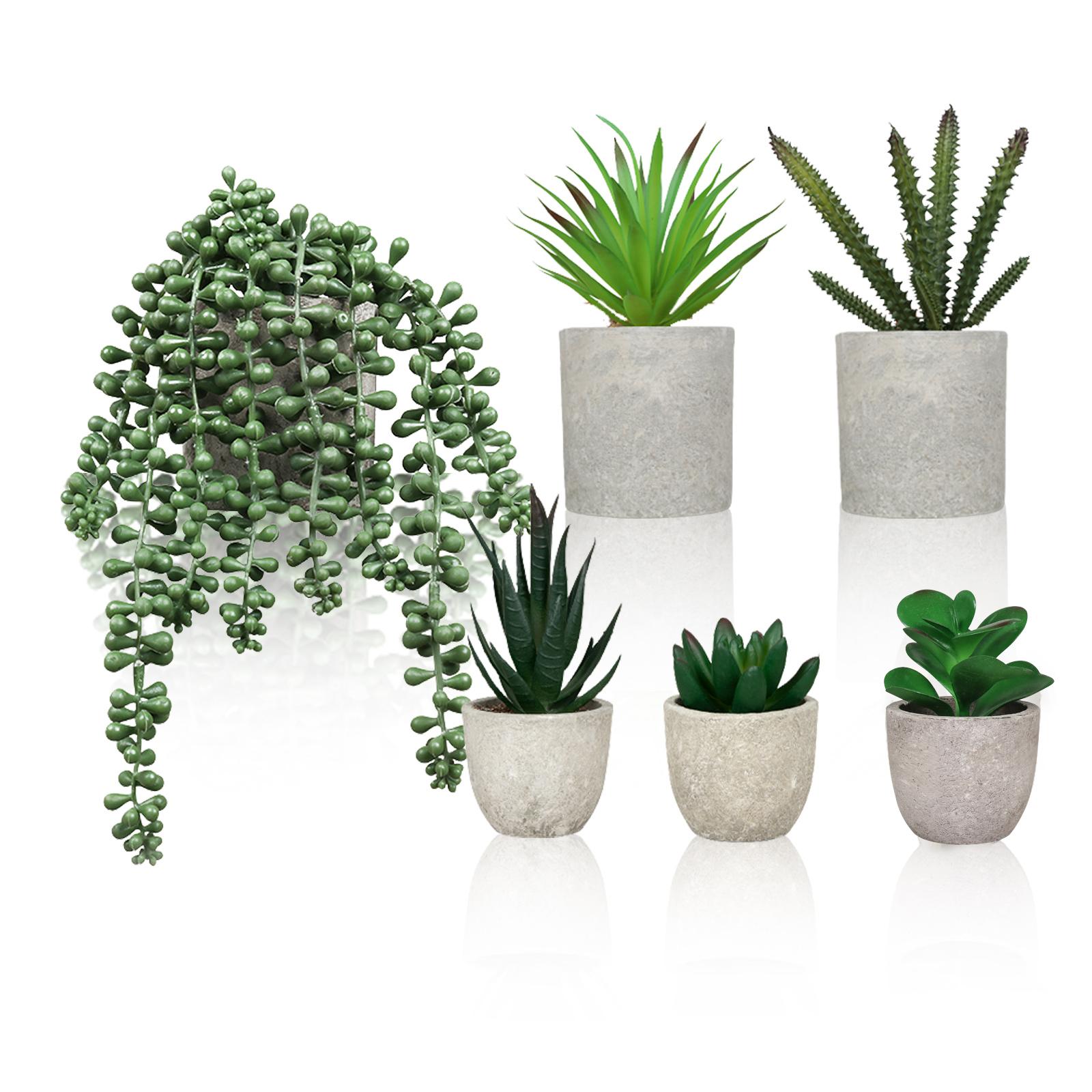 

Набор из 6 искусственных суккулентов. Искусственные растения в горшках из бумажной массы. Реалистичные искусственные суккуленты для декора стола и полки, украшения домашнего офиса.