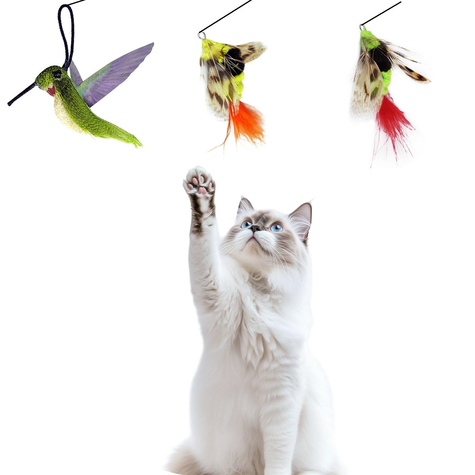 

3 of Ni Cat Toy, Cat Teaser, Cat Toy, Feather Toy, Cat s Favorite Teaser, Fishing Rod (1) and Replacement Feathers (3)