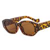 Classic Small Womens Sun Glasses Glasses Men Elegant Vintage Circular Ladies Oval Sun Eyeglasses Trendy Designer Style Style Eyewear Female