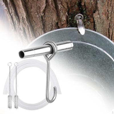 Set per la raccolta dello sciroppo d'acero Spilli in metallo