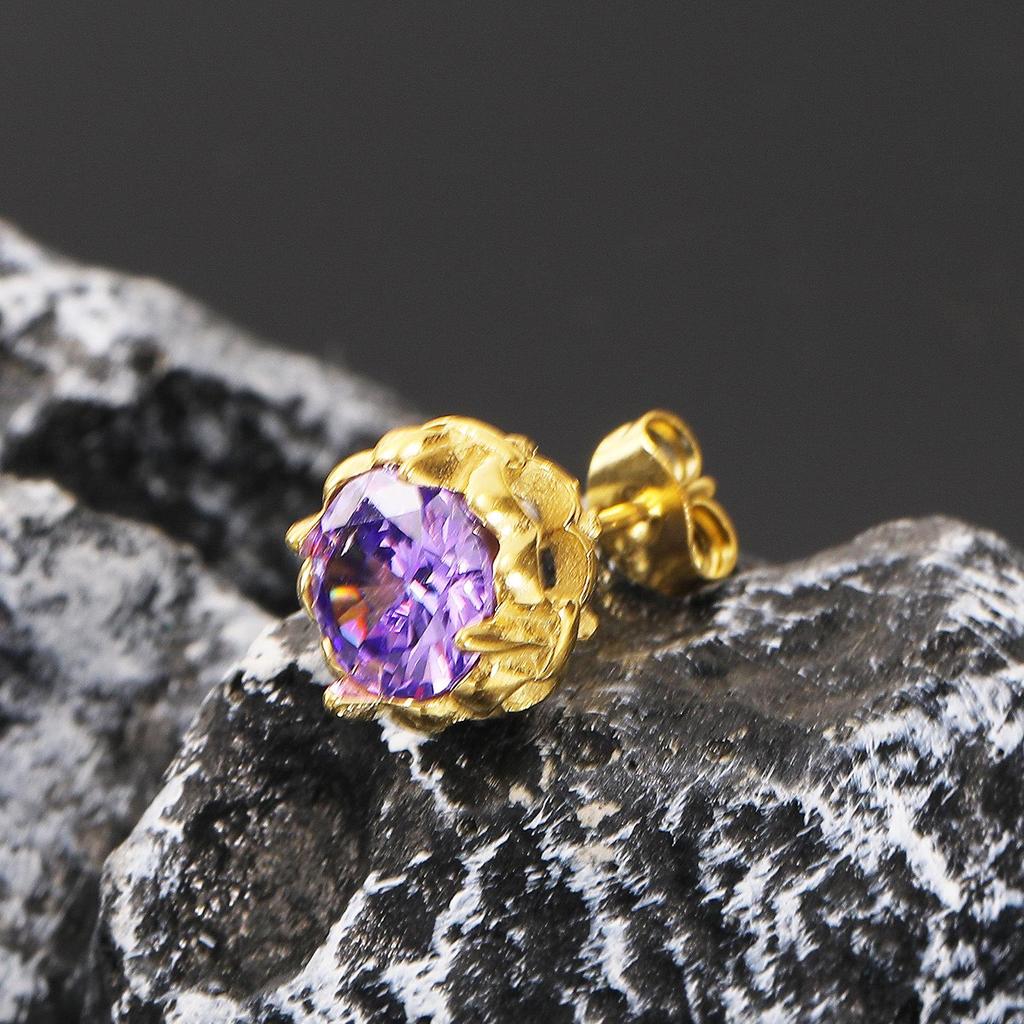 High-End Retro Rhinestone Stud Earrings for Men & Women – Versatile Titanium Steel Design