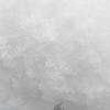 A-line Petticoat Crinoline Slips Wedding Accessories Short Fluffy Tutu Skirt 50s Vintage Puffy Underskirt 15.8in
