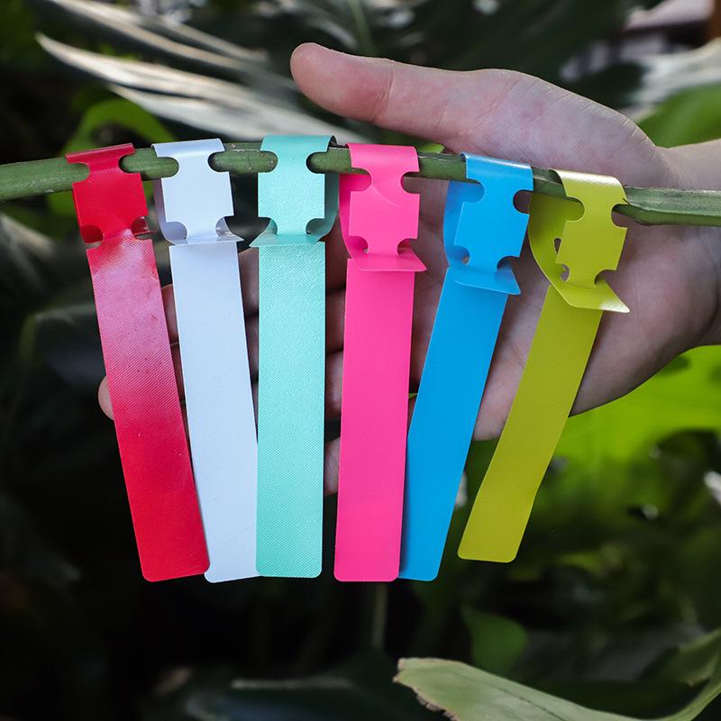 Waterproof Hanging Plant Labels for Seedlings and Horticulture