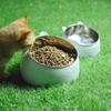 100/200ml Cat Bowl Inclined Kitten Puppy Food Feeding Bowls Stainless Steel Cats Drinking Feeder Pet Dog Cats Feeders Anti-spill