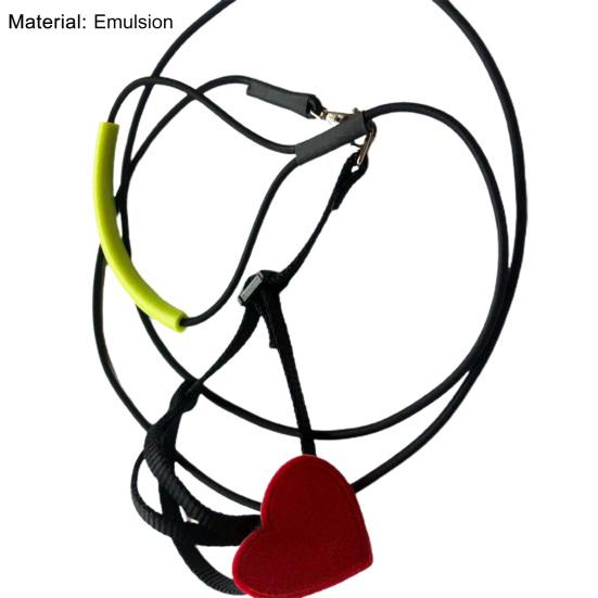 Papagei Leine Super Weich Verschleiß Beständig Emulsion Outdoor Papagei Fliegen Ausbildung Seil für