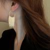 1 Pair Tassel Earrings, Long Temperament Earrings, Versatile And Fashionable Ear Accessories