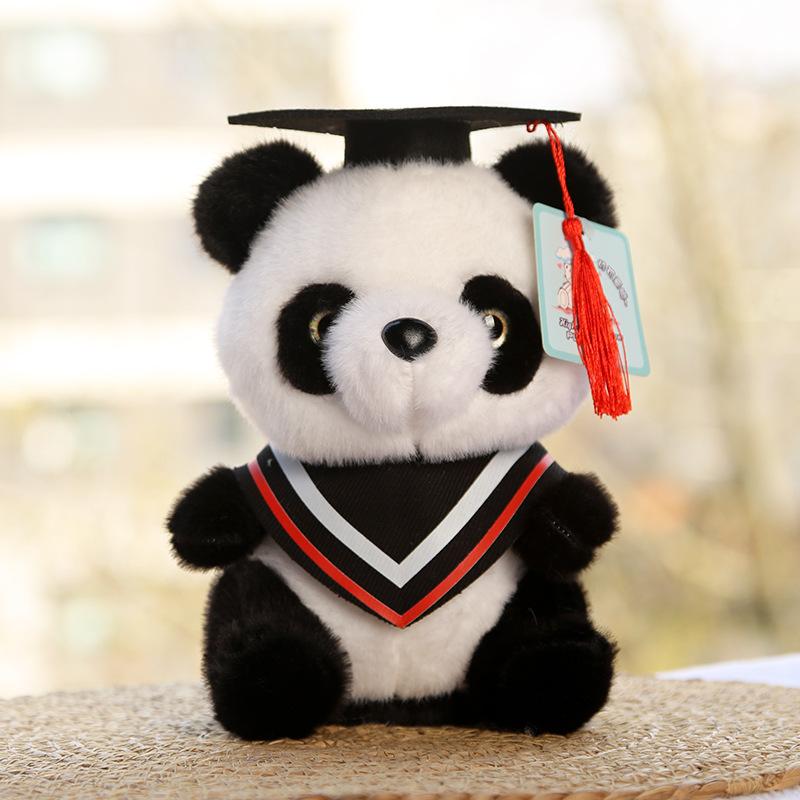 Dr. Panda doll graduation bear kindergarten gift doll Dr. Bear plush toy